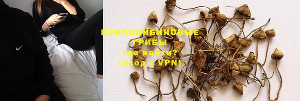 прущий лед Магас