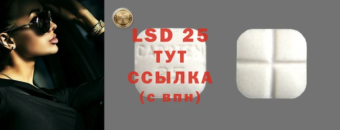 прущий лед Магас