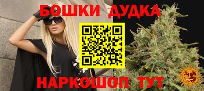 mdpv Заводоуковск