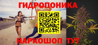 mdpv Заводоуковск