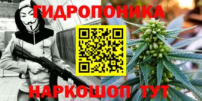mdpv Заводоуковск