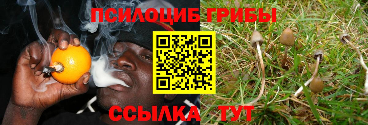 Псилоцибиновые грибы Magic Shrooms Симферополь