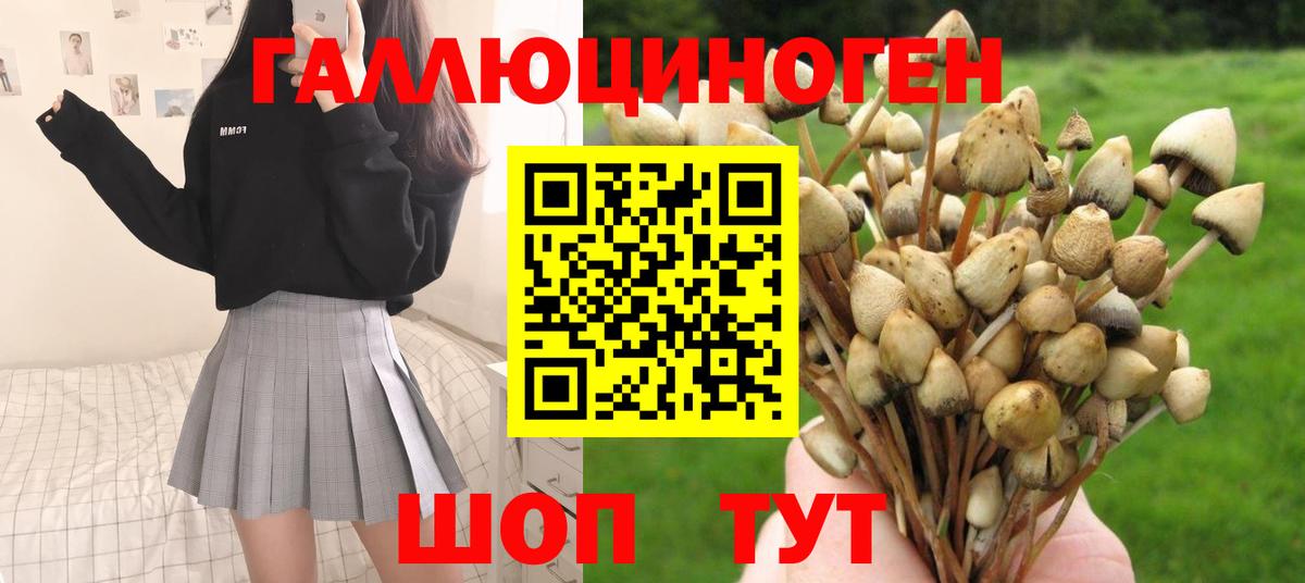 Галлюциногенные грибы ЛСД  Симферополь  Псилоцибиновые грибы мицелий 